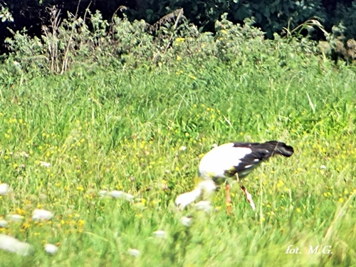 DSC02304.JPG