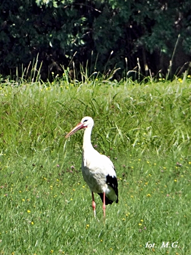 DSC02307.JPG