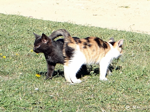DSC02428.JPG