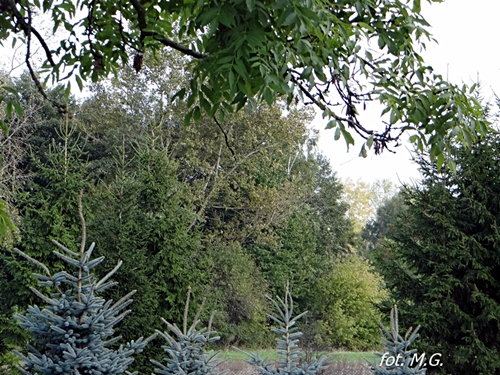 DSC02696.JPG