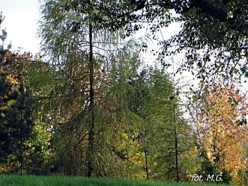 DSC02694.JPG