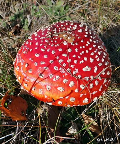 DSC02770.JPG