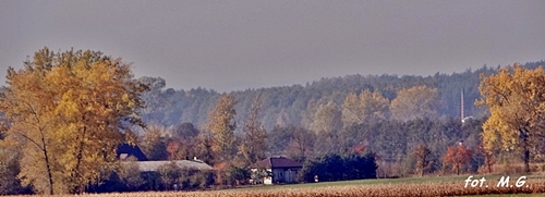 DSC02766.JPG