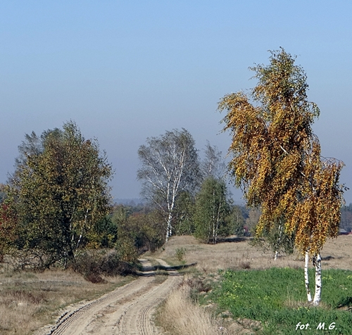 DSC02765.JPG