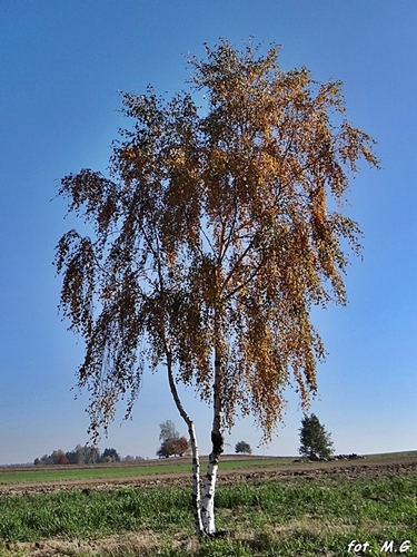 DSC02748.JPG