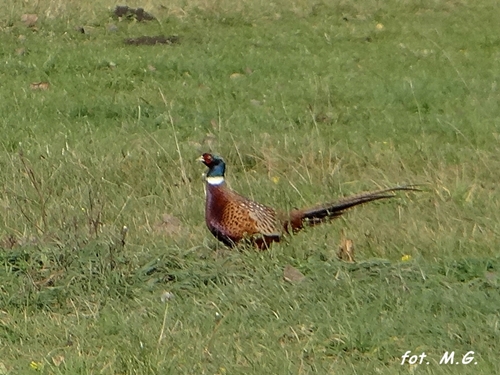 DSC03084.JPG