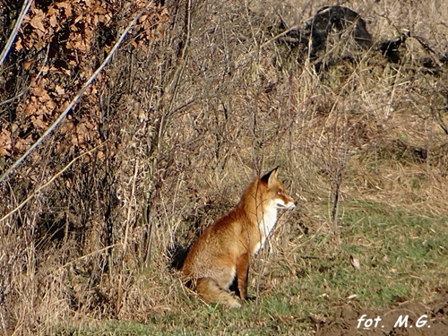 DSC03640.JPG