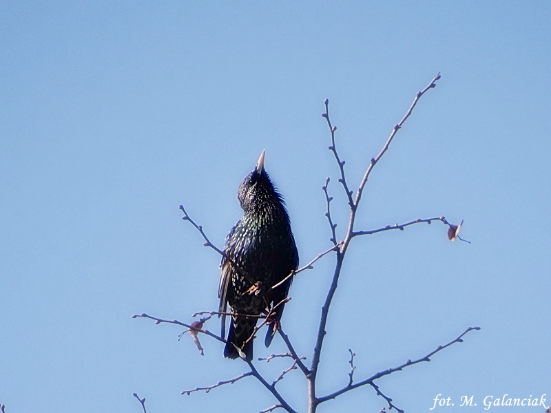 DSC03664.JPG