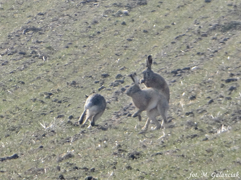 DSC03796.JPG