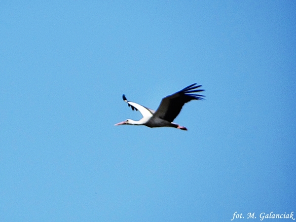 DSC04176.JPG