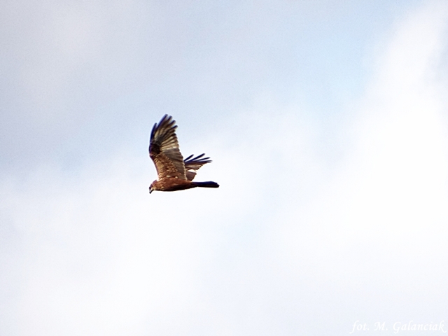 DSC04364.JPG