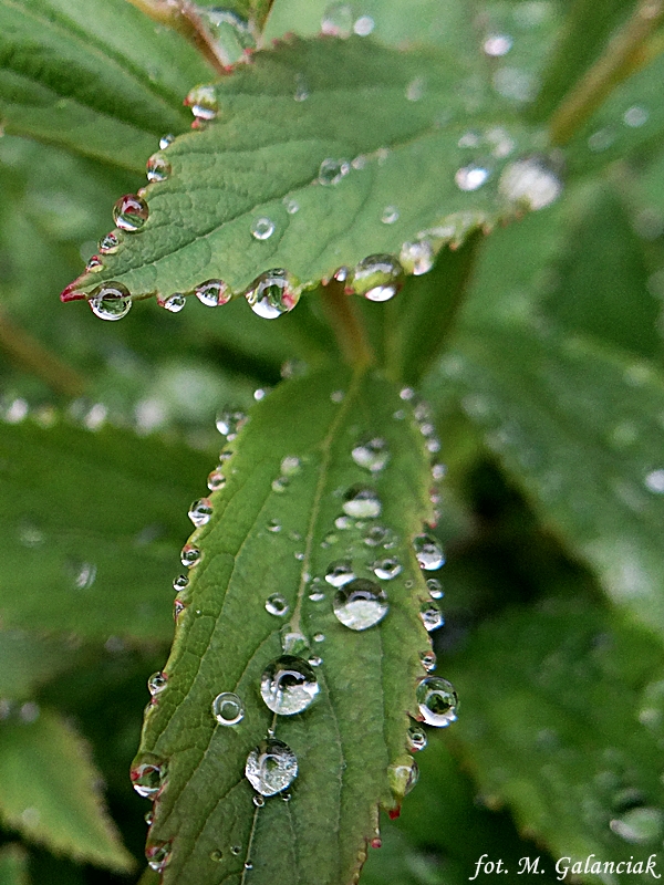 DSC04675.JPG