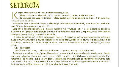 Bez tytułu.png