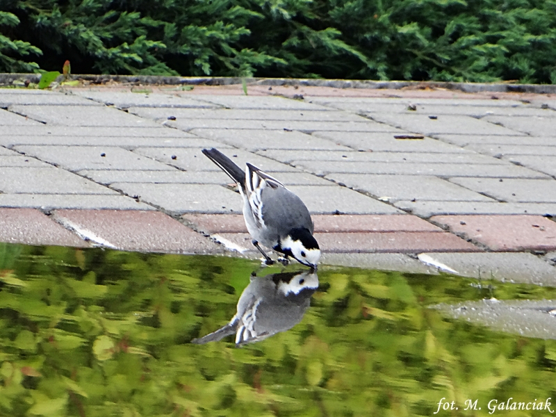 DSC05511.JPG