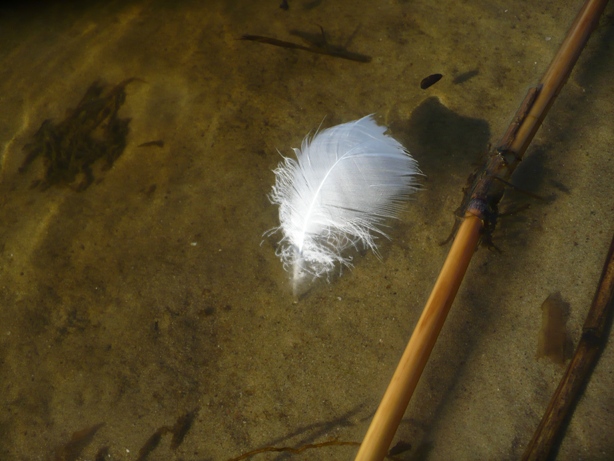 P1030444.JPG