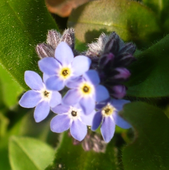 P1030815.JPG