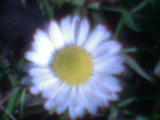 DSC00774.JPG