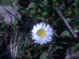DSC00773.JPG