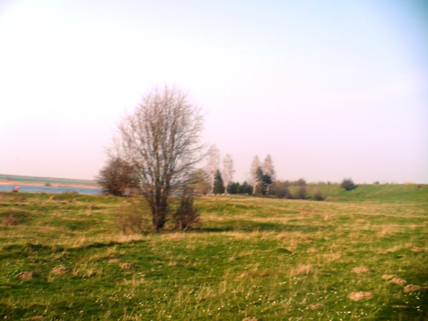 P1030853.JPG