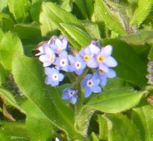 P1040061.JPG