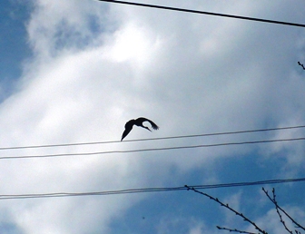 P1040043.JPG