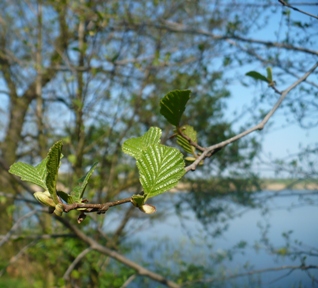 P1040920.JPG