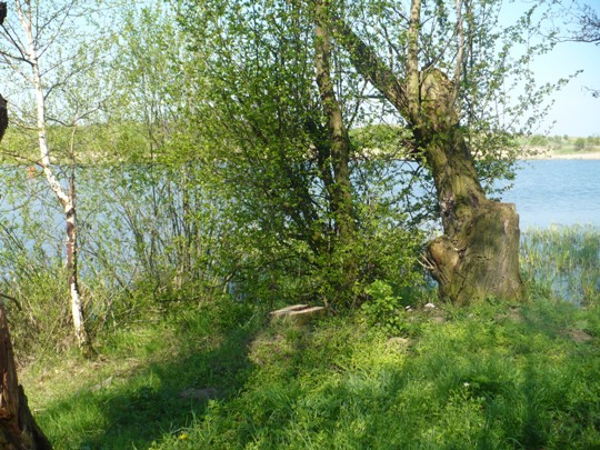 P1040917.JPG