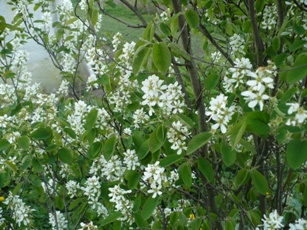 P1050373.JPG