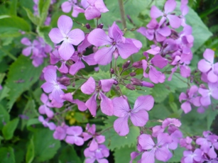 P1050369.JPG