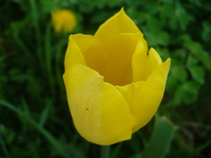 P1050351.JPG