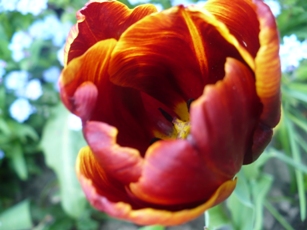 P1050329.JPG