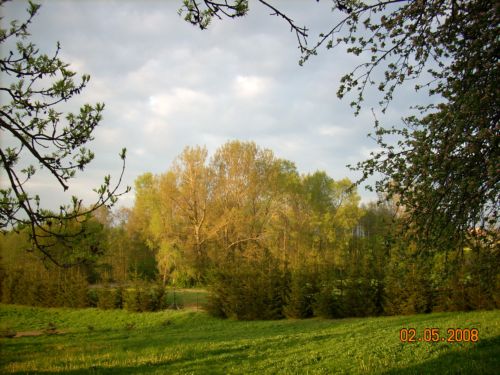 widoczek.jpg