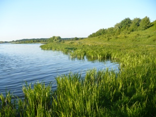 P1060007.JPG