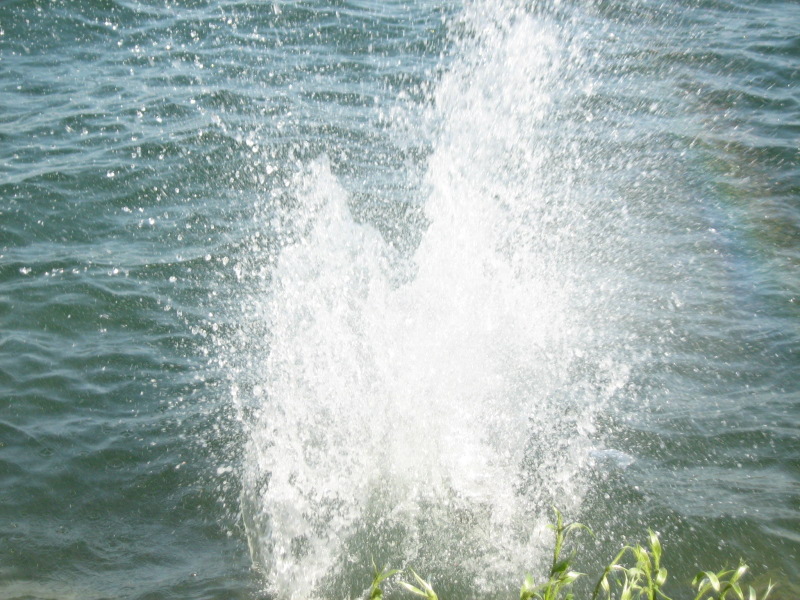 obraz 016.jpg