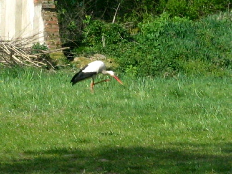 1a851e1721768816med.jpg