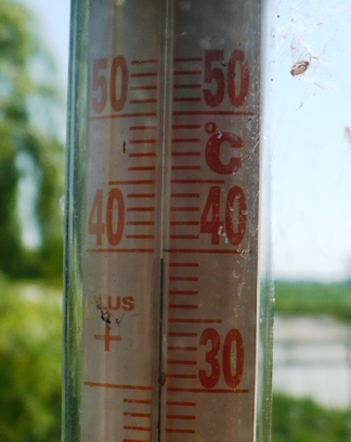 temp.JPG