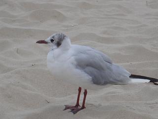 Wakacje 2005 4.JPG
