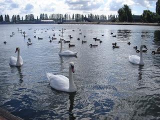 Wakacje 2005.JPG