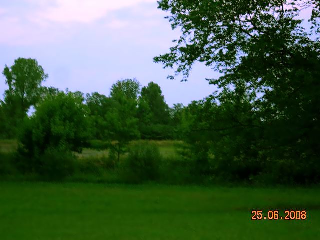 z 030.jpg