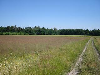 Wyprawa rowerowa 2.JPG