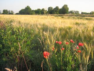 Wyprawa rowerowa 8a.JPG
