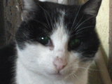 DSC00406.JPG