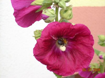 a 031.jpg