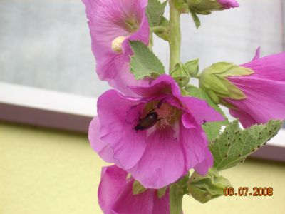 a 029.jpg