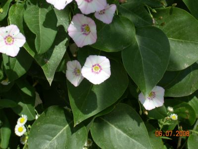 a 025.jpg