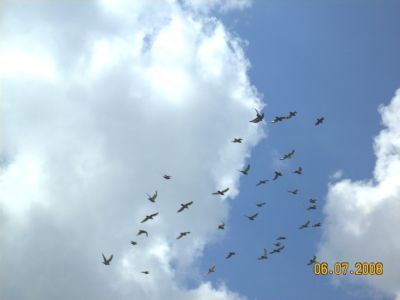 a 018.jpg