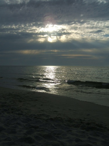 rs_006.JPG