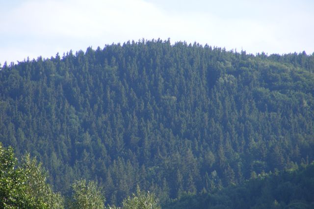 Picture 019.jpg
