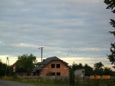 o 011.jpg