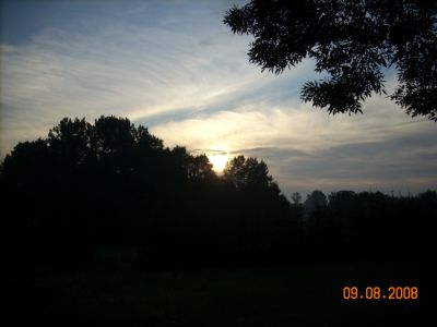 o 001.jpg